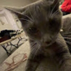 Meet your Posher, Ricky